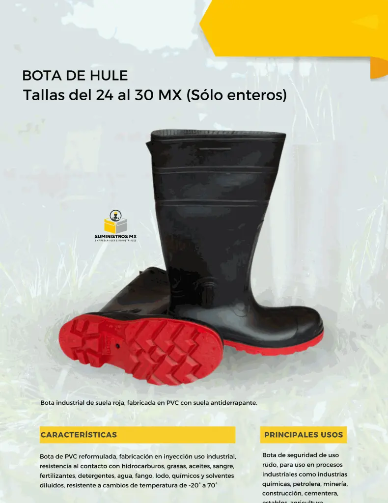 13.webp
